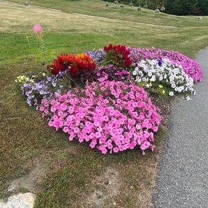 Kids clothes bundle for Anne